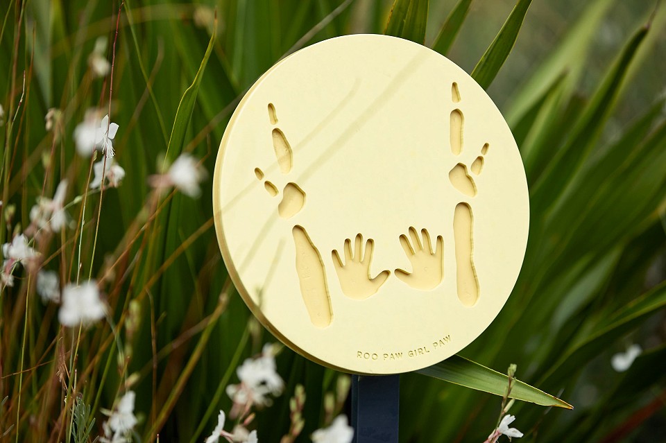 Kin: Flora Fauna