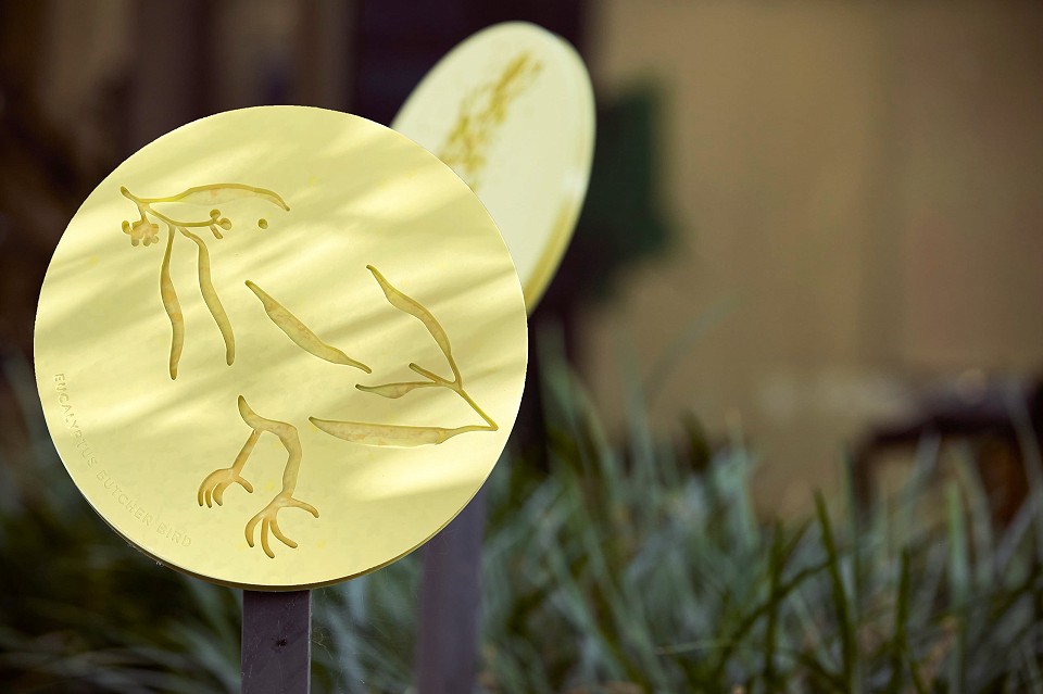 Kin: Flora Fauna